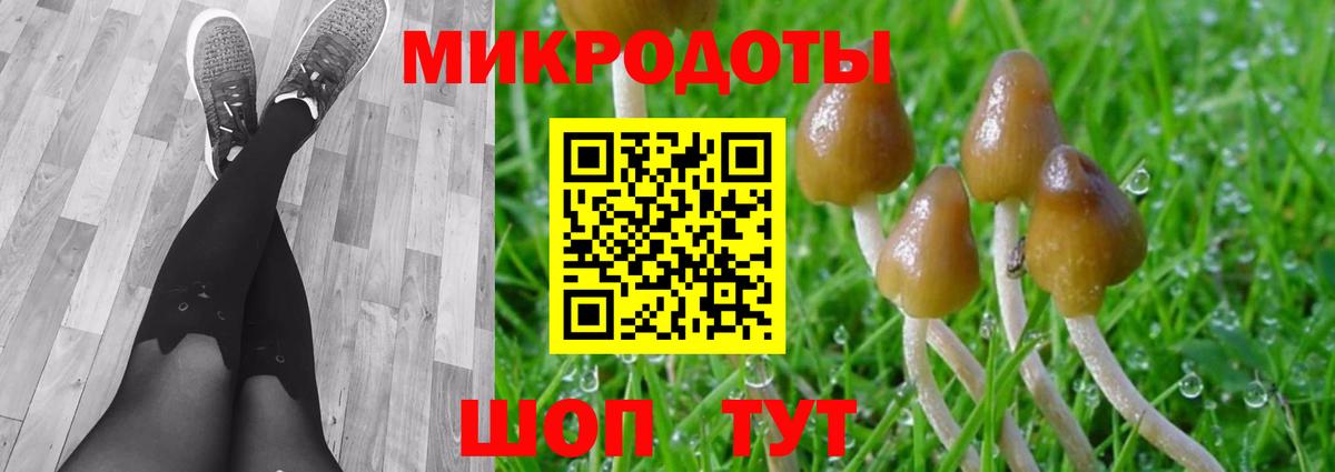Галлюциногенные грибы Psilocybine cubensis  Вход с VPN  Вышний Волочёк  закладки  Псилоцибиновые грибы GOLDEN TEACHER 